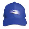 Platinum Baseball Cap Hat Beach Hat Baseball Cap tactical cap custom Hat Women Unisexs