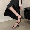 High Heels Niche French Simple Open-toed Sandals Women's Shoes 2025 New Summer Thick Heel with Skirt Roman Shoes