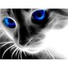 HC Алмазная вышивка Кошка Алмазная картина Вышивка крестом Наборы ручной работы DIY Алмаз