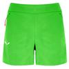Salewa Shorts Lavaredo Durastretch