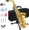 Eastar AS-II Alto Eb Saxophone with Gold Lacquer Case and Care Kit for Beginners
