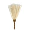 10Pcs Artificial Pampas Grass Decoration Realistic Fluffy Tall Fake Dried