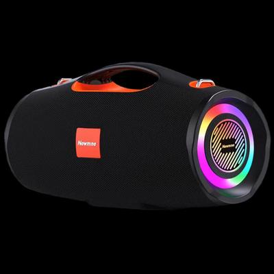 Newmine BT100 Уличный Bluetooth-динамик для караоке Штепсель CN (адаптер в комплекте)