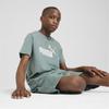 Puma Childrens/Kids Essentials Lab Logo T-Shirt