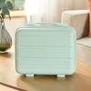Lishen Premium Travel Vanity Case for Women