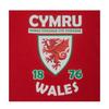 Wales Cymru Boys Short Pyjama Set