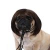 Pet Wig Dog And Cat Spoof Wig Pet Supplies Christmas Pet Accessories Curly Hair Straight Hair Diy Hand Woven Hair Wig Accessorie