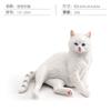 Реалистичная фигурка кошки, модель, сидячая поза, декоративная скульптура животного для дома, офиса, стола, дисплей 5 6x5 4x4 8 см, легкая 33 г