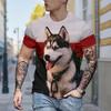 Новая летняя мужская модная футболка с принтом собаки, мужская футболка, топ