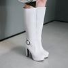 Winter Knee High Boots Women Autumn Knight Black White Large Size High Heels Platform Zipper Fashion Buckle Ladies Long Shoes