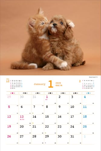 Календарь Накаёши Собаки/Ньян на 2025 год Каждый день – время отдыха > ([Календарь])