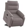 VidaXL Fauteuil Inclinable, Chaise de Relaxation avec Dossier, Siège avec Accoudoirs, Fauteuil TV de Salon Salle de Séjour, 3204988