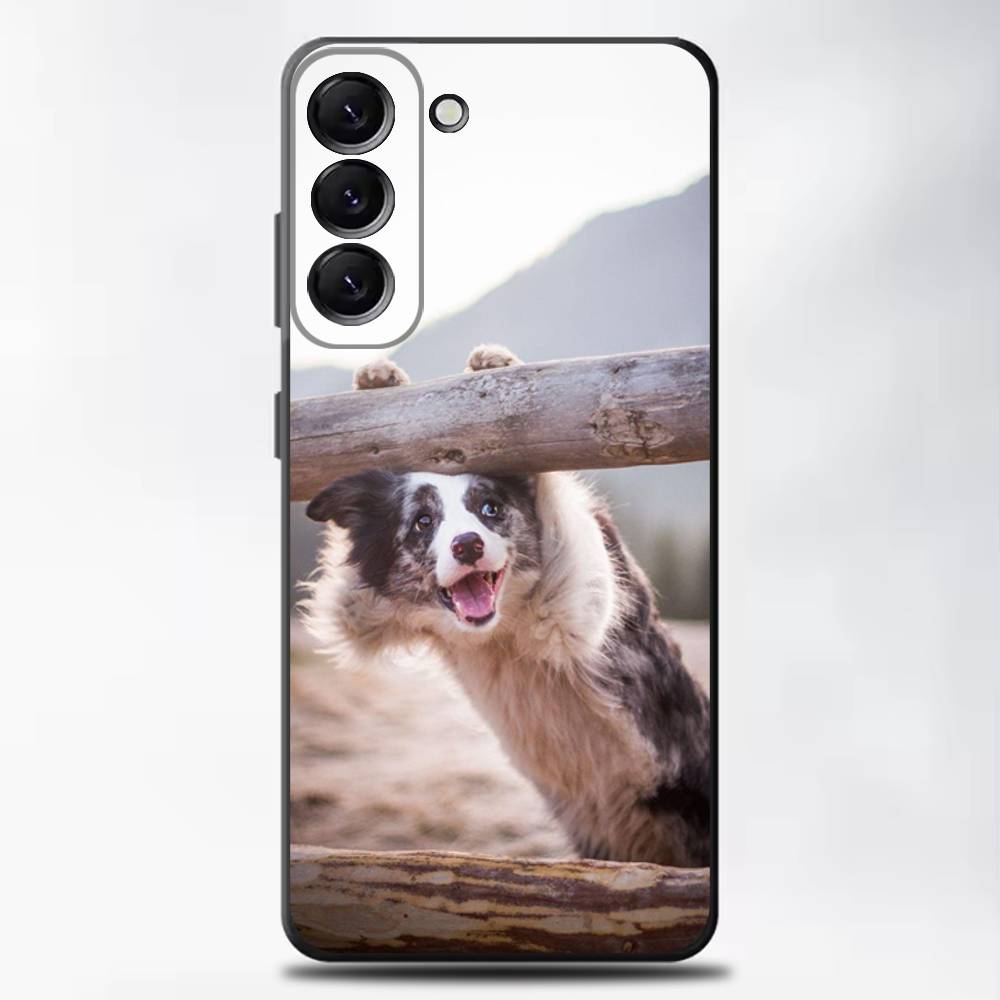 Border Collie Dog Phone Case For Samsung Galaxy A13,A21s,A22,A31,A32,A52,A53,A71,A80,Soft Black Shell