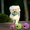 Игрушки для собак Мячики для котят Пищащие резиновые мячики ChirpSounds Пищащие прыгучие мячики Игрушка для котят и щенков Игрушки для собак Жевать Шипастый мяч