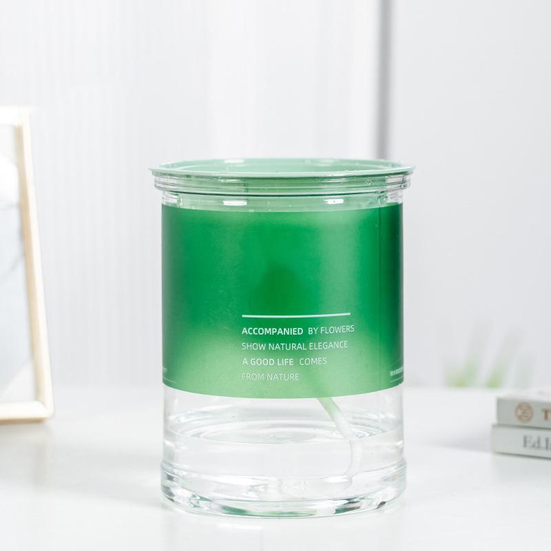 1Pc Self-Watering Flowerpot Automatic Water Absorption Transparent Plastic Pot