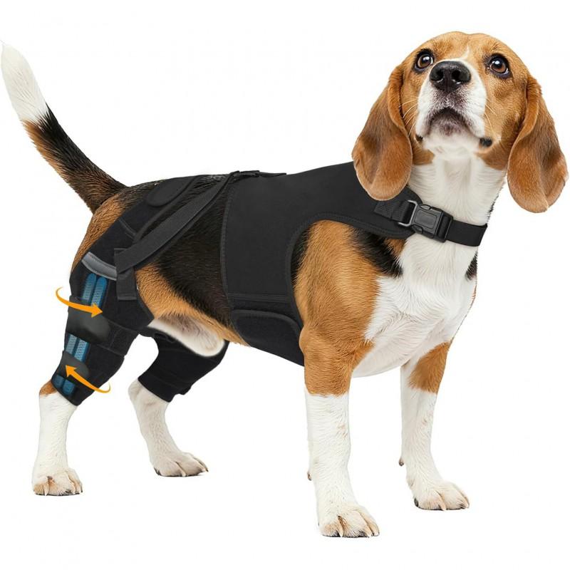 Dog Rear Leg Support Harness Injury Recovery Adjustable Hindlimb Protector In Neoprene XS To XXL