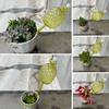 Yousheng Pineapple Shape Self Watering Planter Insert Clear Plant Watering Bulbs Automatic Drip Irrigation Device for Indoor Outdoor Plants