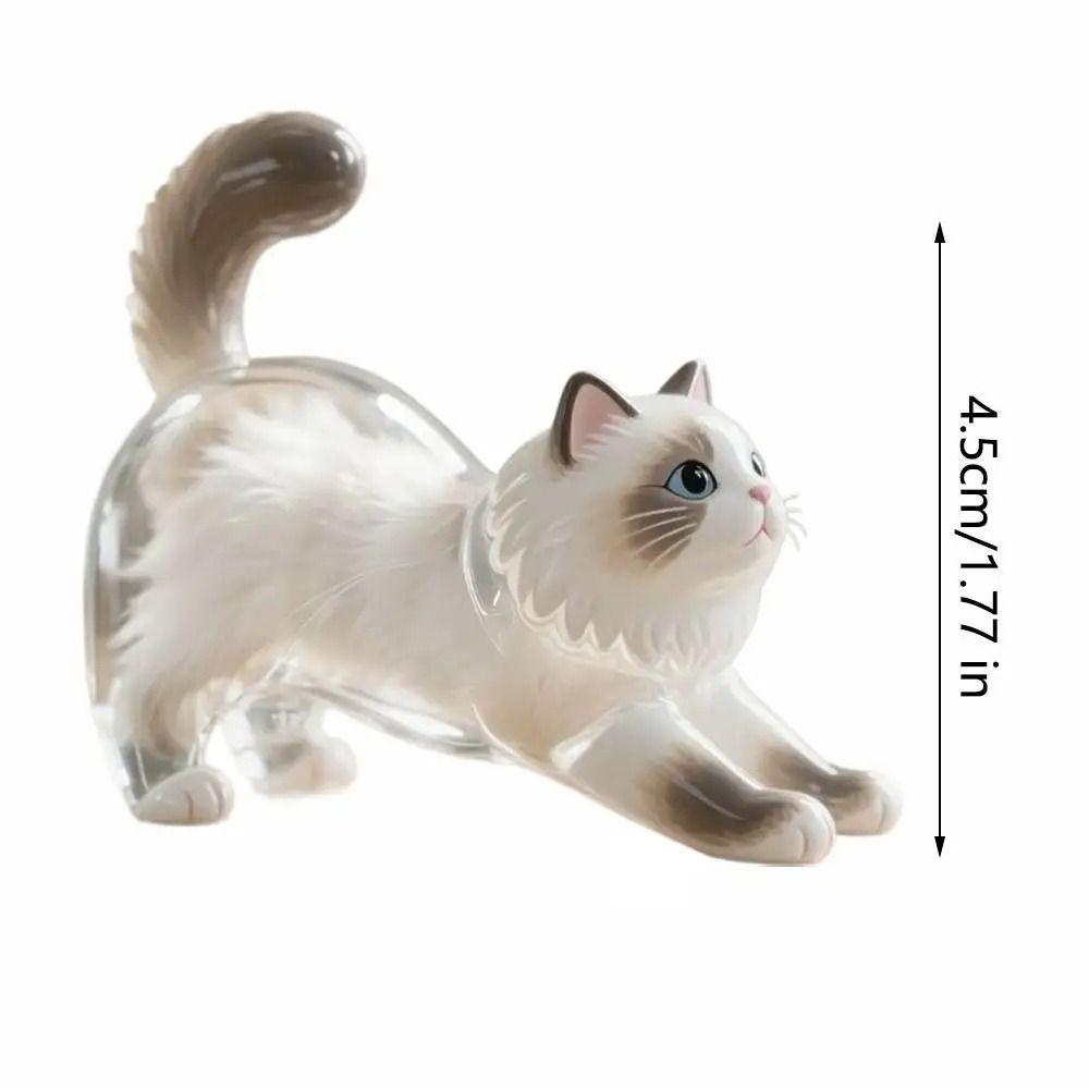 Handmade Cat Hair Storage Box Transparent Dog Fur Storage Pendant  Pet Souvenirs