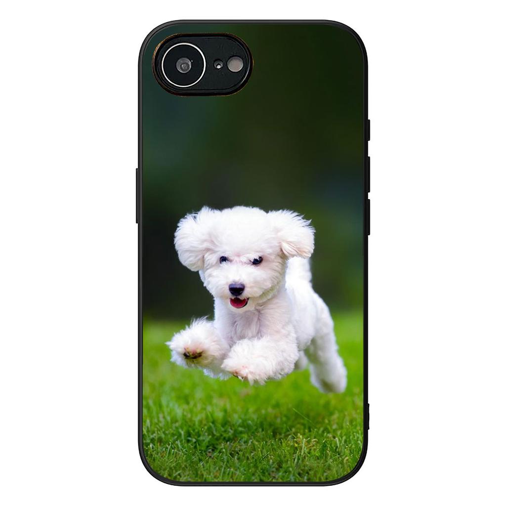 Bichon Frise Pomeranian Dog Phone Case for Samsung Galaxy Note 20 9 10 S8 S10 Lite S9 Plus A54 A53 A21S S10E A17 Cover Casing