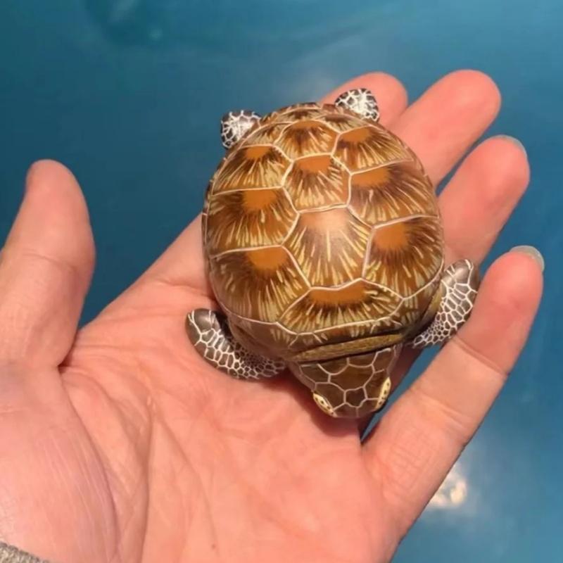Оригинальный Animal Planet Сердце Широкотелая Жирная Серия V4 Океанская Глава Черепаха Рыба Ручная Работа Украшение Подарок Игрушка
