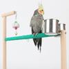 Клетка для попугаев Качели на мосту с подносом Кормушка Принадлежности для стояния Принадлежности для тренировки попугаев на мосту