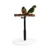 Telescopic Bird Perch Stand: Prickly Ash Wood Pole for Cages & Parrots