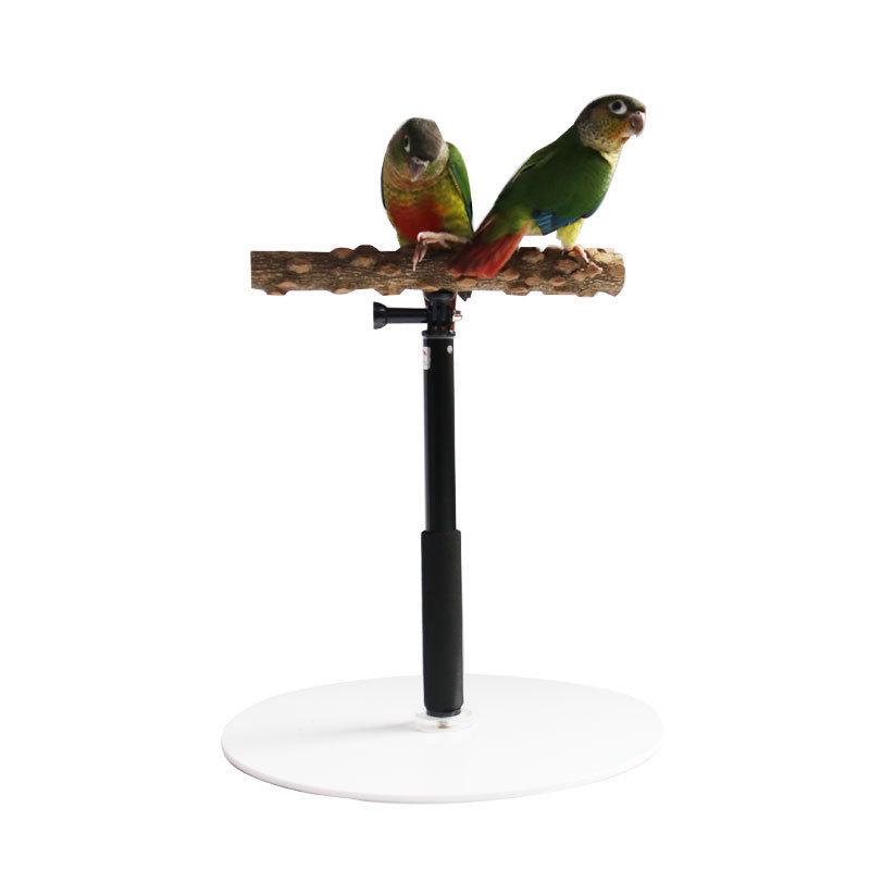 Telescopic Bird Perch Stand: Prickly Ash Wood Pole for Cages & Parrots