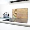 GLASS PROTECTIVE PLATE FOR STOVE 90x52 WOOD