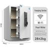 Tiger Brand Smart Anti-Theft Security Safe