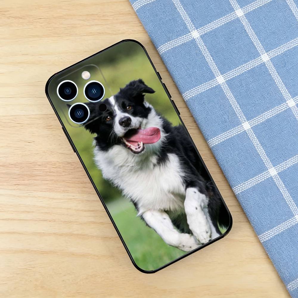 Border Collie Case For iPhone 17 16 15 14 13 12 11 Pro Plus Air Max Mini E Soft Silicone Cover