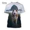 Summer New Funny Pet Dog Husky 3D Printing T-shirt Fashion Unisex Casual Harajuku Street Style Round Neck Short-sleeved T-shirt