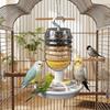 Transparent Hanging Bird Feeder Splash-proof Automatic Bird Feeder  Cage Accessories