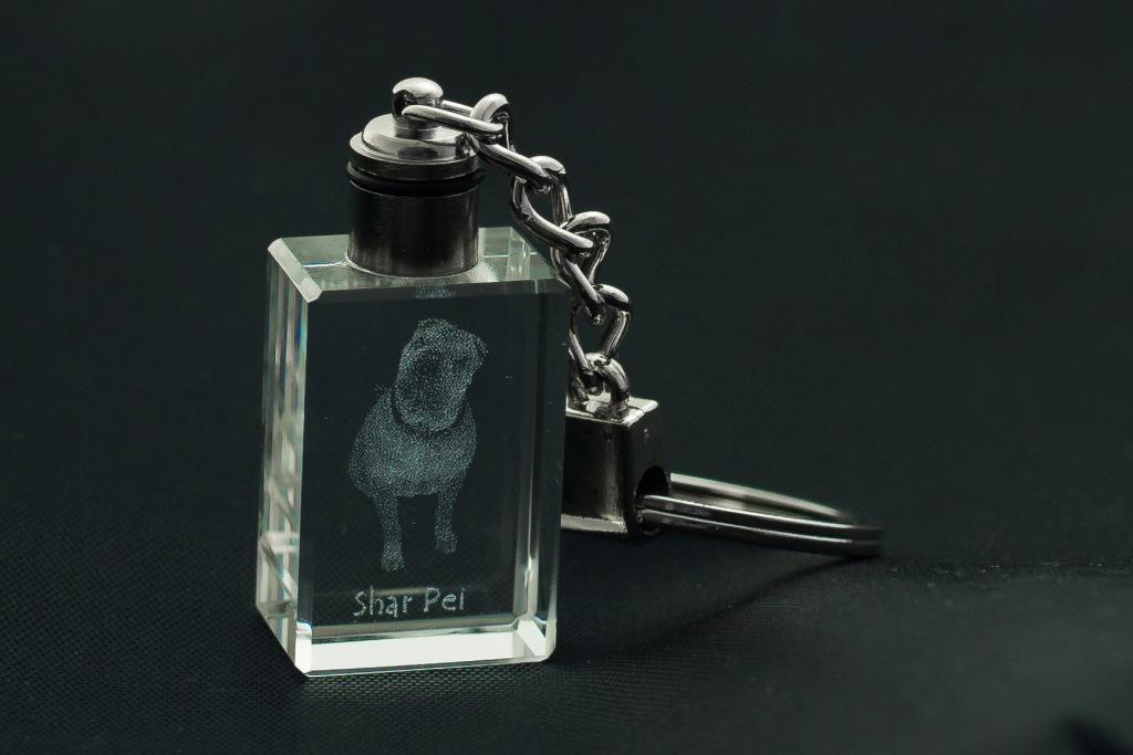 Shar Pei – Crystal key ring with dog photo, illuminated key ring | Art-Dog