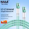 HAILE 10 Gigabit Multimode Fiber Optic Patch Cable