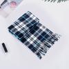 10Pcs Men Women Scarf Plaid Print Tassel Trim Double Sided Velvet Long