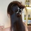 Hairpin Small Compact Metal Hair Clip Silver Color Butterflies Shape Back Head