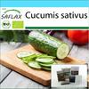 Подарочный набор - Органический - Огурец - Marketmore - 20 семян - С подарочной коробкой, карточкой, этикеткой и субстратом для горшков - Cucumis sativus