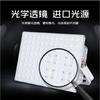 Ant LED Floodlight Outdoor Super Bright Waterproof and High Power Construction Site Project Floodlight