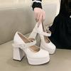 Women's Super High Heels French Thick Heel Mary Jane Shoes 2025 New Waterproof Platform Super Single Shoes