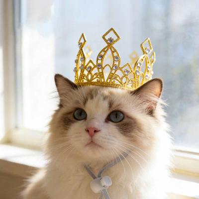 Блестящая корона для питомца, регулируемая корона для кошки со шнурком, тиара-корона со стразами для кошек и маленьких собак, реквизит для косплей-вечеринки, фотосессии