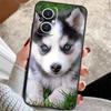 Animal Husky puppy For OPPO Reno 14 12 11 10 13 Pro 8T 11F 12F 13F 14F 7 8 Lite OPPO Find X9 X8 X6 X5 Pro Case