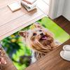 Floor Mat Entrance Door Mat Small Carpet Non-slip Door Mat Living Room Bathroom Kitchen Rug