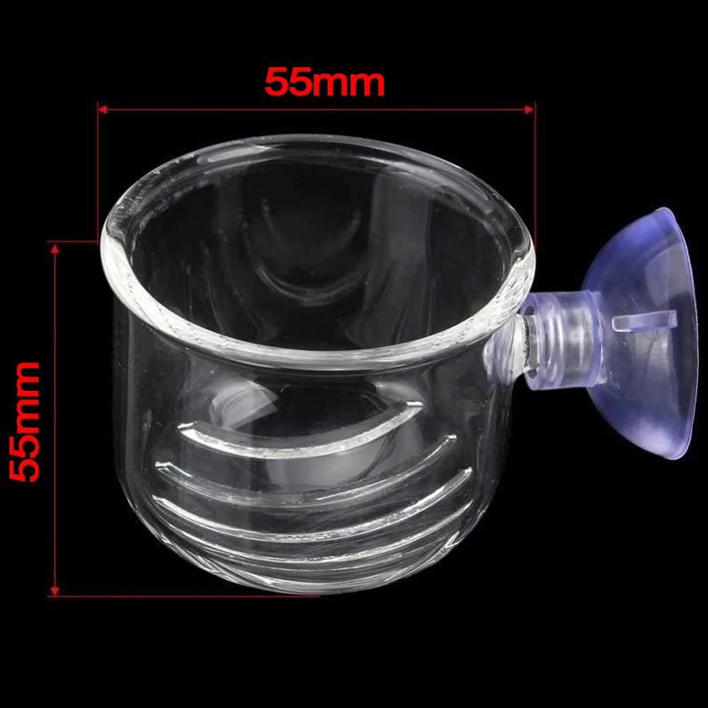 2Pcs Large Glass Feeding Cone Cup Plant Cup Brine Shrimp Live Red Worm Fish Feeder For Aquariums With Seam