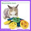 Игрушки для жевания из натуральной люфы для мелких домашних животных: Чистящие средства для зубов хомяков, собак, кошек и попугаев