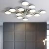 Modern LED Ceiling Lamp Branched Chandeliers for Living Room Ceiling Lights Bedroom and Kitchens Indoor Lighting