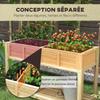 Raised Planter with Removable Divider, Shelf, Irrigation Inserts, Drainage Felt 115L x 46W x 75H cm