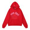 Sp5der Hoodie Y2K Streetwear Printed Sweatshirt Men Women Couple