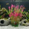 Natural Lifelike Aquarium Artificial Grass Plastic Aquatic Plants Decor for Fish Tank for Tank Decoration and Ornament