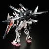 RG Strike Rouge HG 1/144 + 1/144 IWSP