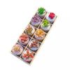 Multifunctional Succulent Flowerpot Tray Multi-grids Desktop Sundries Organizer Storage Box